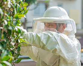 害虫駆除には防護服が必要です