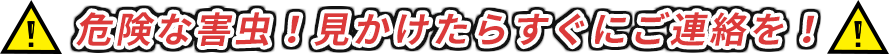 危険な害虫！見かけたらすぐにご連絡を！