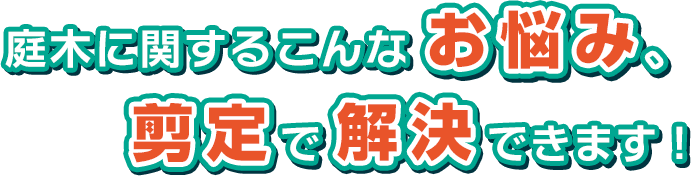 庭木に関するこんなお悩み、剪定で解決できます！