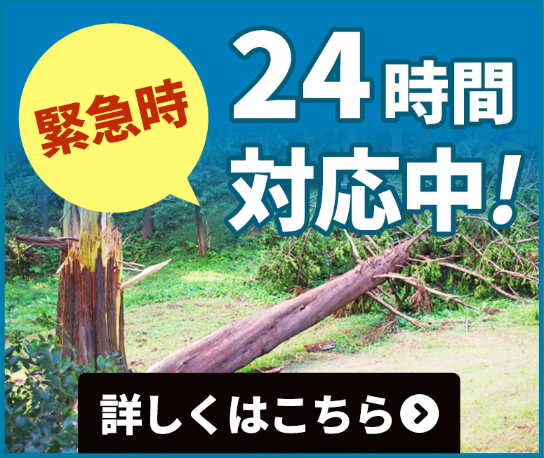 緊急時作業メニュー24時間対応中!