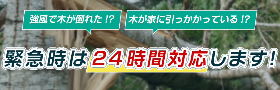 強風で木が倒れた？木が家に引っかかっている？緊急時は24時間対応します！