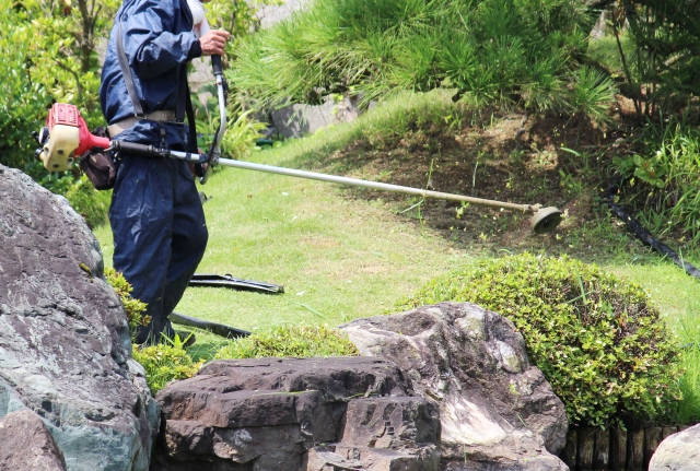 梅雨に入る前に草刈りを! (4)